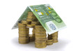 Haus mit Euro