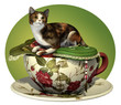 Cat n Cup Calico