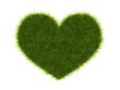 Heart from grass isolated on white