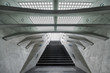 guillemins