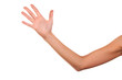 Woman hand. Woman hand.