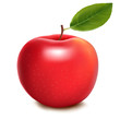 Fresh red whole apple with green leaf. Vector.