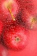 background with fresh red apples background with fresh red apples