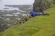 Bird watching in Iceland