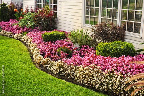 Photo: Colorful flower garden Colorful flower garden