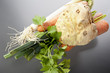 Bio Suppe Gemüse