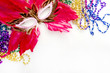 feather mask for mardi gras