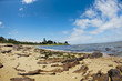Photo en ligne au meilleur prix Great Ocean Road - Australie