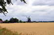 Mühlenlandschaft