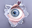 Photo: Auge starrt durch Papierloch Auge starrt durch Papierloch