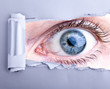 Photo: Auge starrt durch Papierloch Auge starrt durch Papierloch