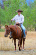 Cowboy