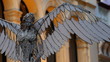 Angelic Art - Panned