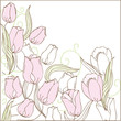 Floral romantic backgriund with pink tulips Floral romantic backgriund with pink tulips