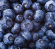 many blueberries
