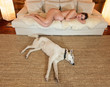 Photo: Naked pregnant woman with dog Naked pregnant woman with dog