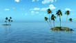 Palms