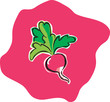 rapanello