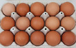 Eier im Eierkarton