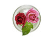 Pink flowers in glass