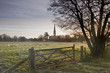 Salisbury cathedral at dawn