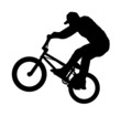 BMX Rider