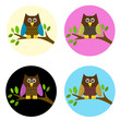 Owls on a branch