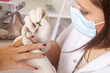 im Nagelstudio - Fingernägel werden lackiert