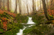 Beautiful Waterfall