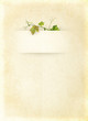 Wine list menu with grapes leafs - vintage background