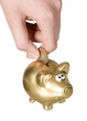 Man is putting coin to golden money box