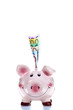 Sparschwein mit Euroscheinen