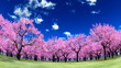 桜