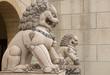 lions statue