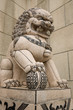 Photo: lion statue lion statue