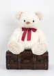 Foto: Teddybär mit Koffer Teddybär mit Koffer