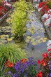 The pond with autumn yellow leaves