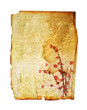 flower paper