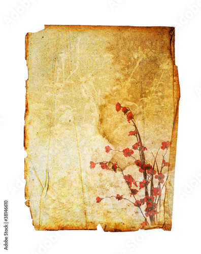 Photo: flower paper flower paper