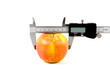 Foto: EU Apfel EU Apfel