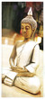 Photo: Buddha Dharma Buddha Dharma