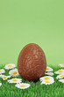 oeuf de Pâques au printemps oeuf de Pâques au printemps