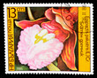Postage Stamp