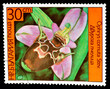 Postage Stamp