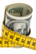 Symbol Sparpaket mit Dollar