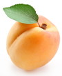 Apricot with leaf on a white background.