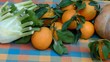 Frutta e verdura biologica