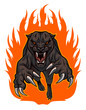 Fire panther