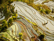 Hani Reisfeld Yuanyang, China