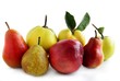 autumn fruits